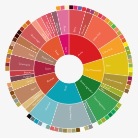 Flavor Wheel - Coffee Flavor Wheel, HD Png Download, Transparent PNG