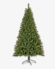 Árvore De Natal - Artificial Christmas Tree, HD Png Download, Transparent PNG