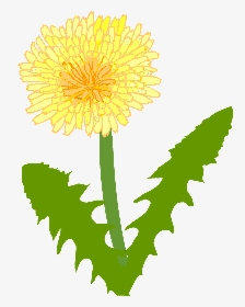 Dandelion - Dandelion Clip Art, HD Png Download, Transparent PNG
