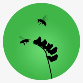 Green Bee Maryland - Silhouette, HD Png Download, Transparent PNG