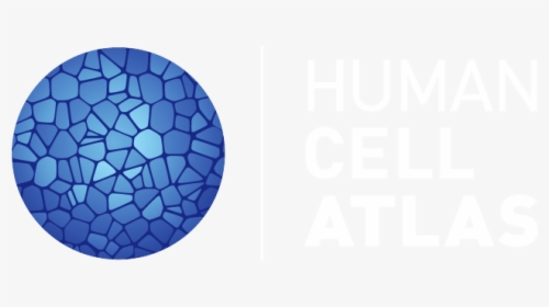 Human Cell Atlas Logo, HD Png Download, Transparent PNG