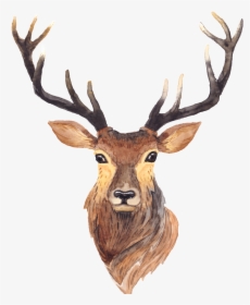 Red Deer Moose Antler Painting - Deer Antlers Animation, HD Png Download, Transparent PNG