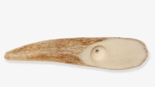 File - On-picrivermooseantler - Climbing Hold, HD Png Download, Transparent PNG