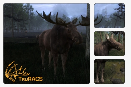 Thehunter Wikia - Hunter Classic Moose, HD Png Download, Transparent PNG