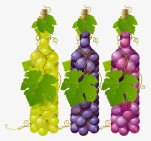 Grapes Vector , Png Download - Grapes Vector, Transparent Png, Transparent PNG
