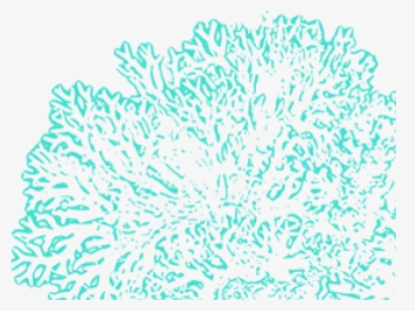 Coral Reef Clipart Outline - Transparent Coral Reef Clipart, HD Png Download, Transparent PNG