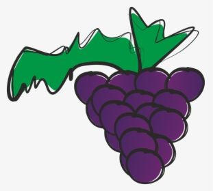 Bunch Of Grapes, Grapes, Fruit, Tropical Fruit - Grape, HD Png Download, Transparent PNG