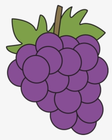 Transparent Grapes Vector Png - Clipart Of Grapes, Png Download, Transparent PNG