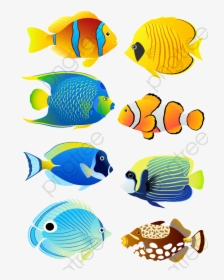 Coral Reef Clipart Fish - Coral Reef Fish Cartoon, HD Png Download, Transparent PNG