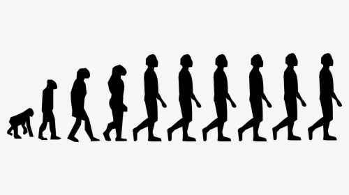 Evolution Of Human Walking - Evolution Charles Darwin Stickman, HD Png Download, Transparent PNG