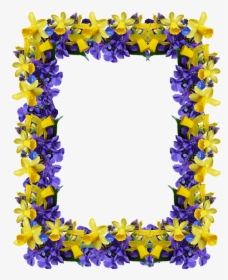 Frame, Spring, Flowers, Daffodils, Violets - Delphinium, HD Png Download, Transparent PNG