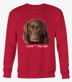 Transparent Chocolate Lab Png - Labrador Retriever, Png Download, Transparent PNG