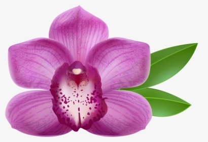 Purple Orchid Transparent Png Clip Art Image - Purple Orchid Flower Png, Png Download, Transparent PNG