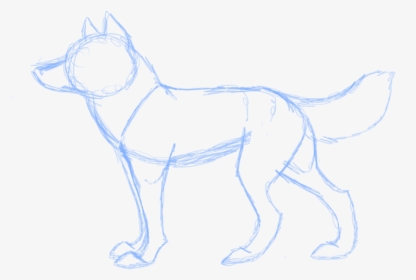 My Wolf Anatomy 3 By Twiztedrhapsody-d3dv96g Anatomy - Line Art, HD Png Download, Transparent PNG