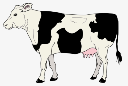 Cow, Livestock, Cattle, Farm, Animal, Beef, Dairy, - Cow Clipart Black And White, HD Png Download, Transparent PNG