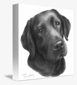 Clip Art Black And White Labrador - Dibujos A Lapiz De Perros Labradores, HD Png Download, Transparent PNG