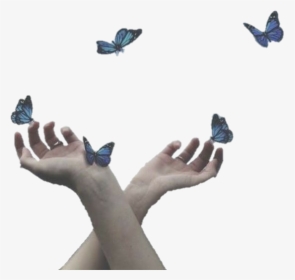 Image - Butterfly In Hands Dps, HD Png Download, Transparent PNG