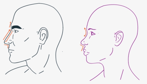 Nose Rhiniplastia In Facial Feminization Surgery - Sketch, HD Png Download, Transparent PNG