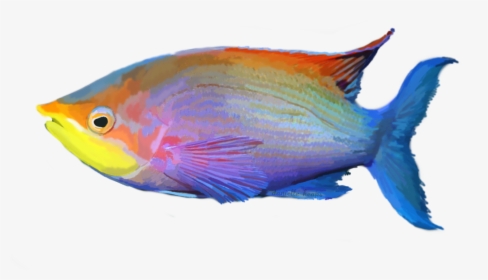Beautiful Fish Png - Fish With Transparent Background, Png Download, Transparent PNG