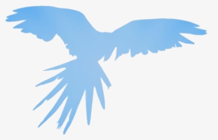 Transparent Flying Parrot Drawing, Flying Parrot Png - Transparent African Birds Png, Png Download, Transparent PNG
