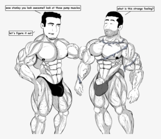 Biceps-curl - Men Muscle Growth, HD Png Download, Transparent PNG