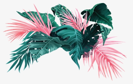 Vector Graphics, HD Png Download, Transparent PNG