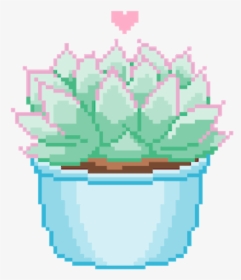 Succulent Plant Love Plants Plantsarefriends Aesthetic - Transparent Aesthetic Blue Gif, HD Png Download, Transparent PNG