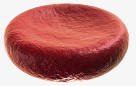 Transparent White Blood Cell Clipart - Human Blood Cells, HD Png Download, Transparent PNG