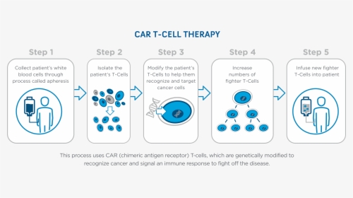 Car T Cell Therapy Steps, HD Png Download, Transparent PNG