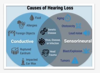 Common Causes Hearing Loss - Causes Of Hearing Loss, HD Png Download, Transparent PNG
