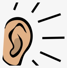 Ear Clip Art, HD Png Download, Transparent PNG