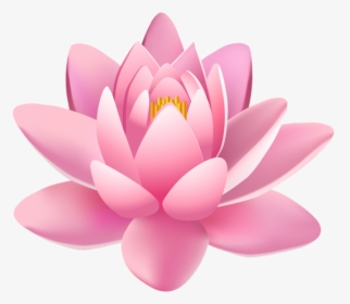 Lily Clipart Pink Lily - Transparent Background Lotus Flower Png, Png Download, Transparent PNG