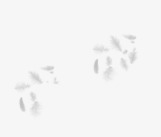 White Falling Feathers Png, Transparent Png, Transparent PNG