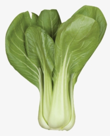 Baby Bok Choy - Chard, HD Png Download, Transparent PNG
