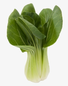 Baby Bok Choy Chinese Vegetable - Chou De Chine, HD Png Download, Transparent PNG