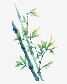 Transparent Bamboo Leaves Png - Bamboo Watercolour, Png Download, Transparent PNG