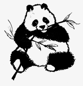 Found Panda Chewing On Leaves Clip Arts - Panda Black And White Clip Art, HD Png Download, Transparent PNG