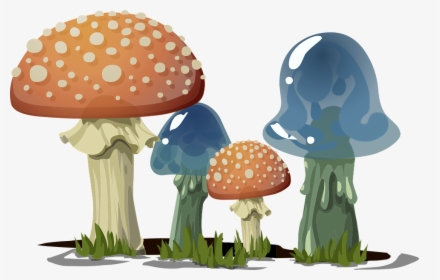 Mushroom,champignon Mushroom,bolete,penny Bun,fawn,art - Happy Birthday Mushrooms, HD Png Download, Transparent PNG