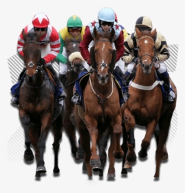 Horse Racing Transparent Background, HD Png Download, Transparent PNG