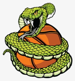 2018 Bluffs Hoops Shootout Youth Basketball Tournament - Snake Around A Basketball, HD Png Download, Transparent PNG