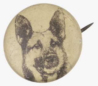 German Shepherd Art Button Museum - Lycaon Pictus, HD Png Download, Transparent PNG