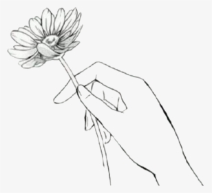 pic Drawing Aesthetic Tumblr Aesthetic Hand Holding Flower hand holding flower drawing hd png