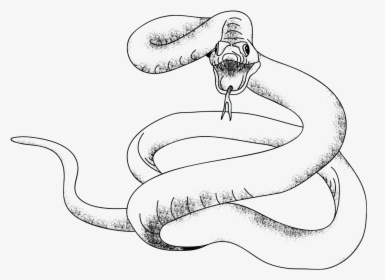 Clip Art Invertebrate Animal Huge - Red Snake Transparent Png, Png Download, Transparent PNG