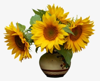 Nature, Plant, Leaf, Sun Flower, Bright, Summer - Common Sunflower, HD Png Download, Transparent PNG