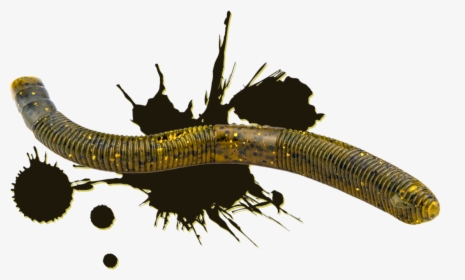 Lizard, HD Png Download, Transparent PNG