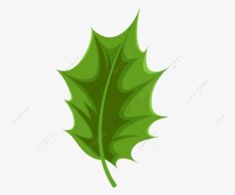 Holly Leaf Commercial Use Resource Upgrade To Premium - Holly Leaves Vector, HD Png Download, Transparent PNG