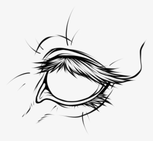 Hd Line Art Group Lineart - Horse Eye Line Drawing, HD Png Download, Transparent PNG
