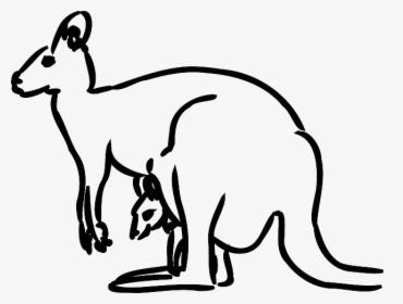 Australia Kangaroo, Baby, Animal, Mammal, Jumping, - Kangaroo Black And White Clipart, HD Png Download, Transparent PNG