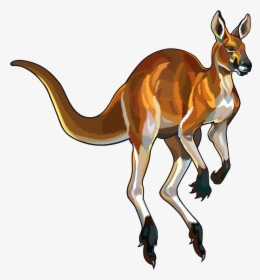 Jumping Cartoon Of Kangaroo, HD Png Download, Transparent PNG