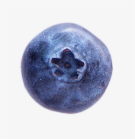 A Ripe Blueberry - Bilberry, HD Png Download, Transparent PNG